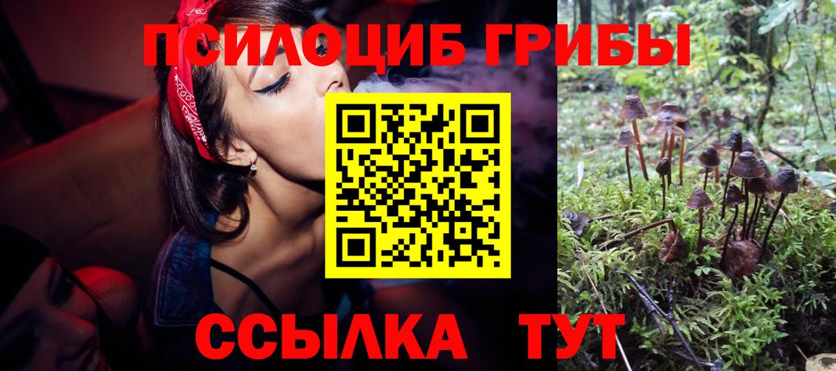 Галлюциногенные грибы MAGIC MUSHROOMS Мирный